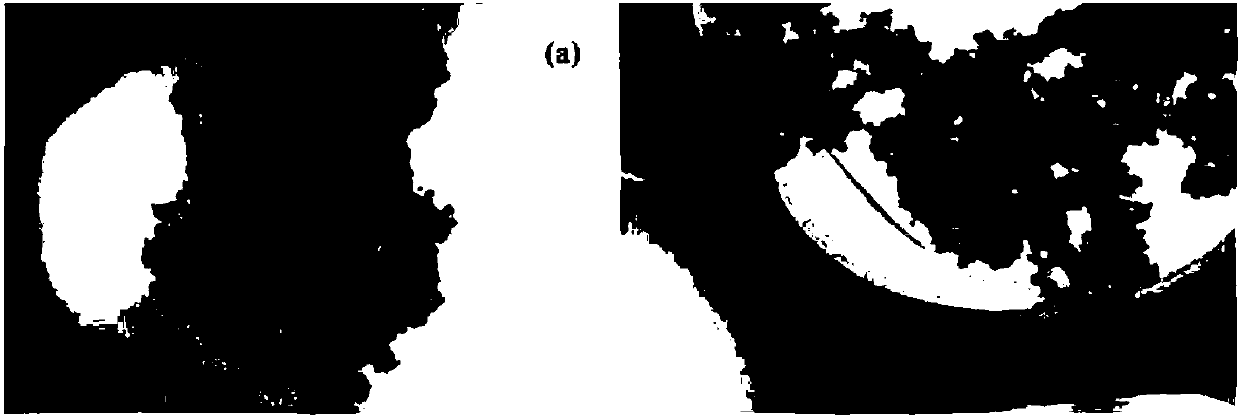 Application of methacrylatoethyl dodecyl dimethyl ammonium bromide in disperse silicon dioxide as well as composite material and preparation method of composite material