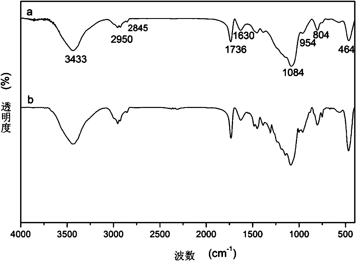 Application of methacrylatoethyl dodecyl dimethyl ammonium bromide in disperse silicon dioxide as well as composite material and preparation method of composite material