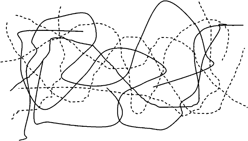 Perfluoro ion exchange membrane with interpenetrating network structure and preparation method thereof