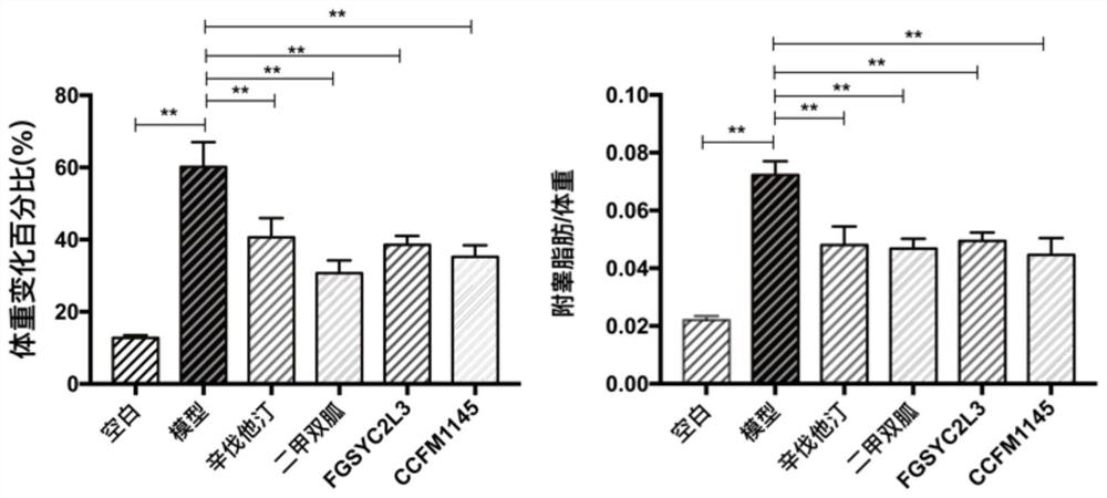 Lactobacillus reuteri capable of intervening in metabolic syndrome and application