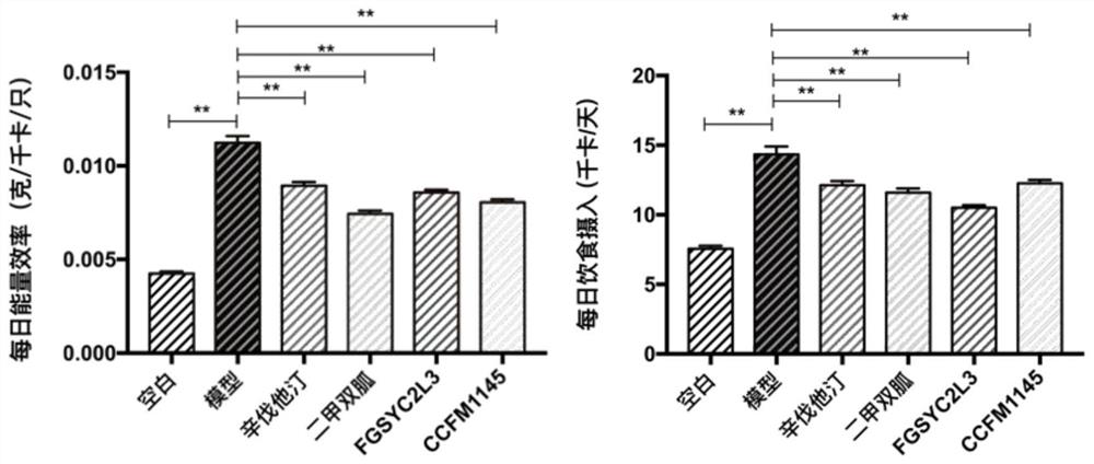 Lactobacillus reuteri capable of intervening in metabolic syndrome and application