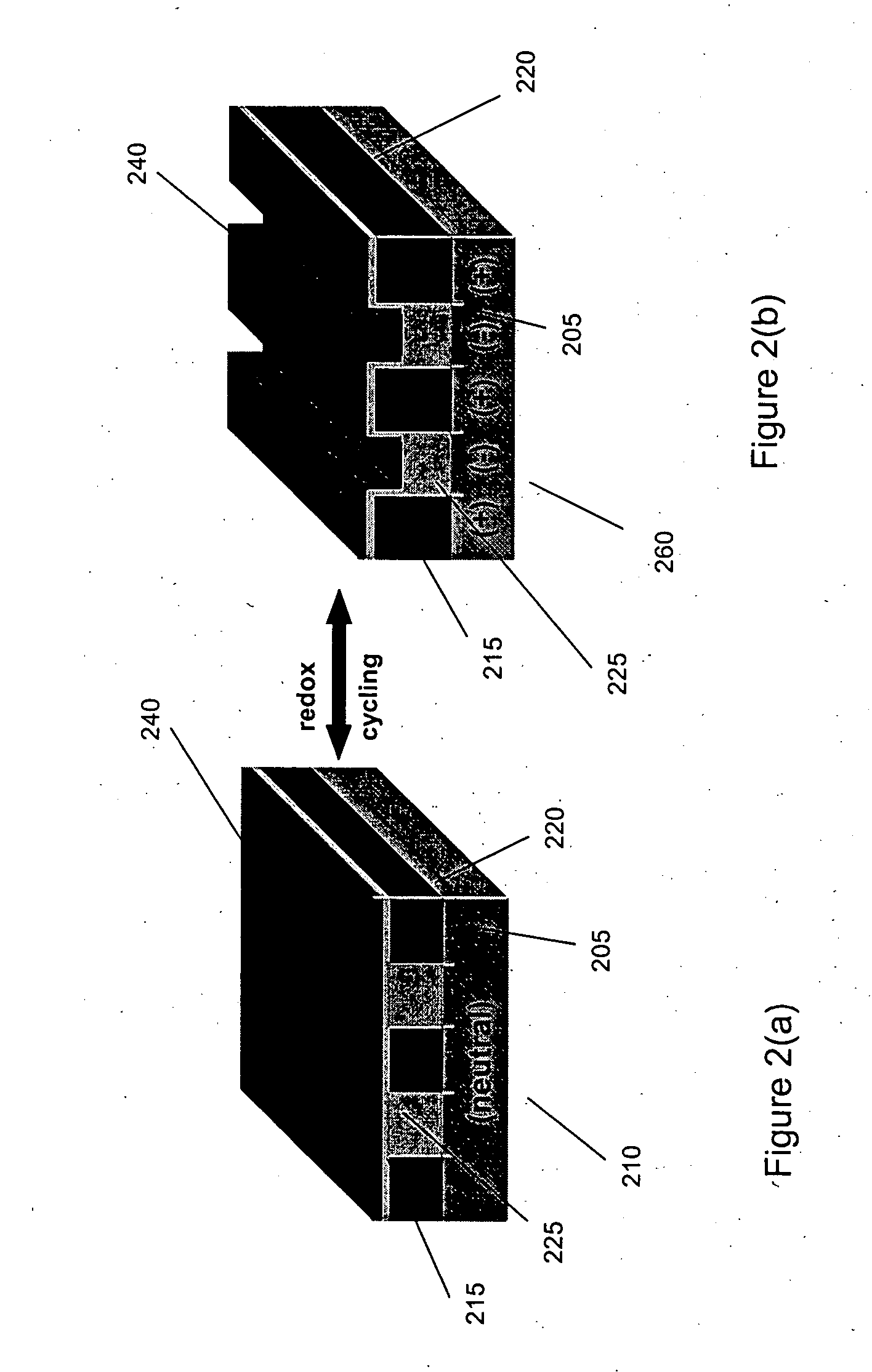 Dynamically modifiable polymer coatings and devices