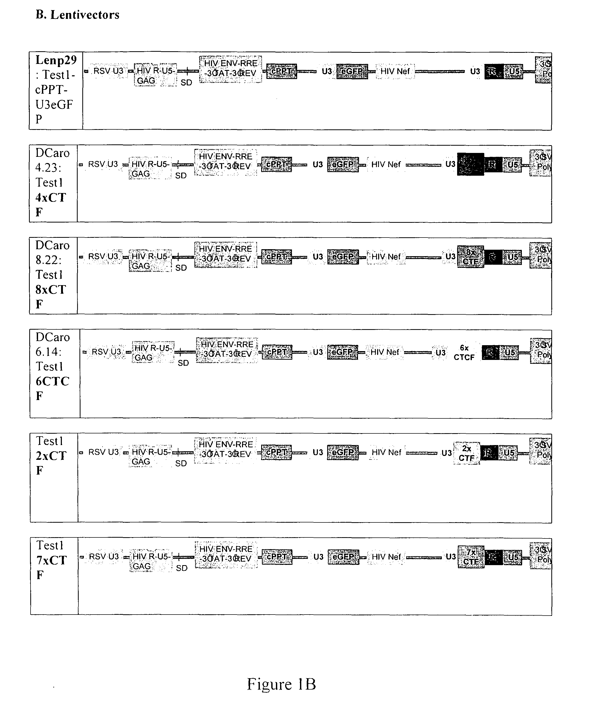 Gene transfer vectors comprising genetic insulator elements and methods to identify genetic insulator elements