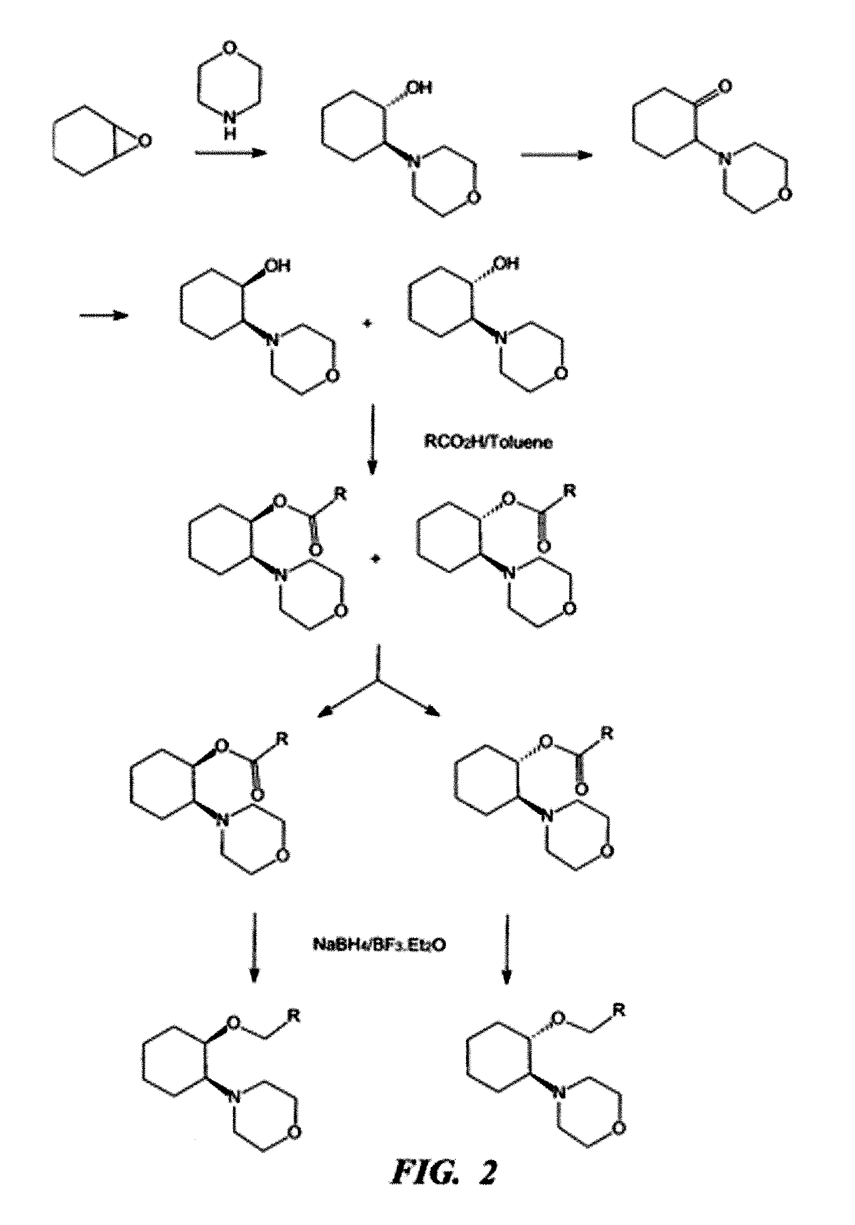 Ion channel modulating compounds and uses thereof