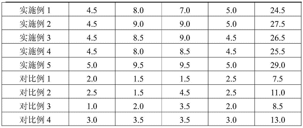 Fermented mango beverage and preparation method thereof