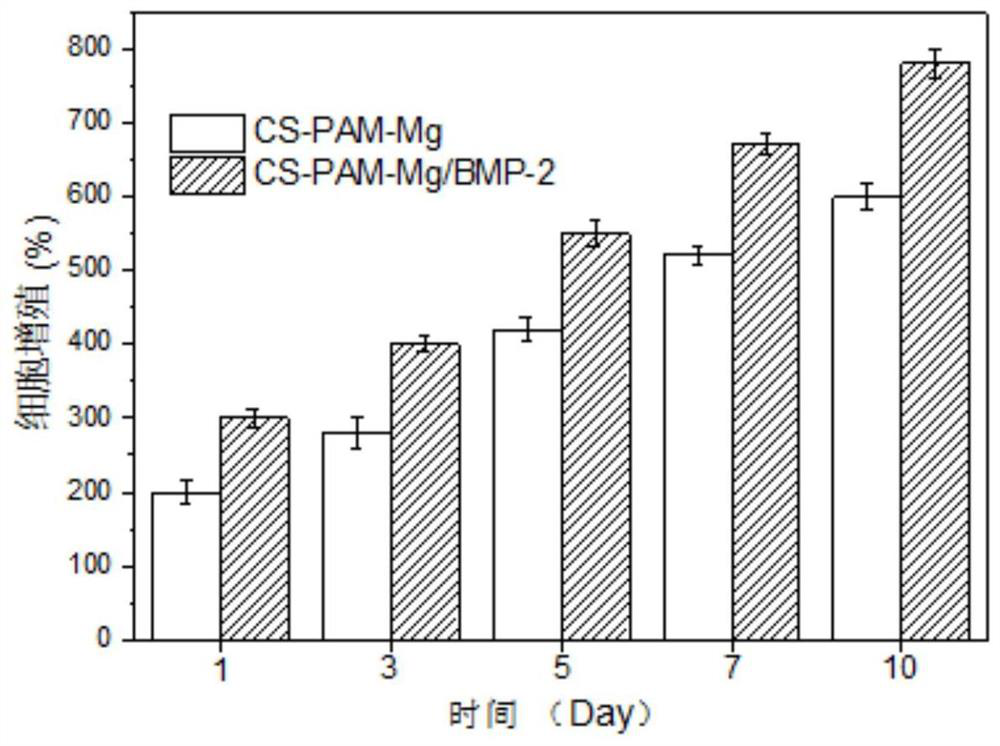 Injectable hydrogel for promoting bone regeneration and preparation method of injectable hydrogel