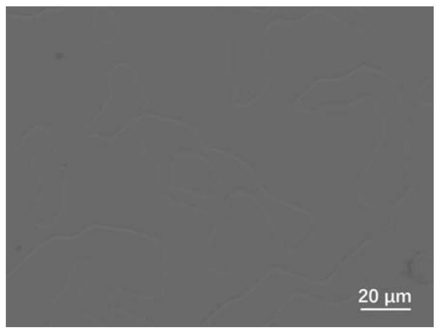 A method for preparing graphene single crystal wafer on copper-based textured film substrate