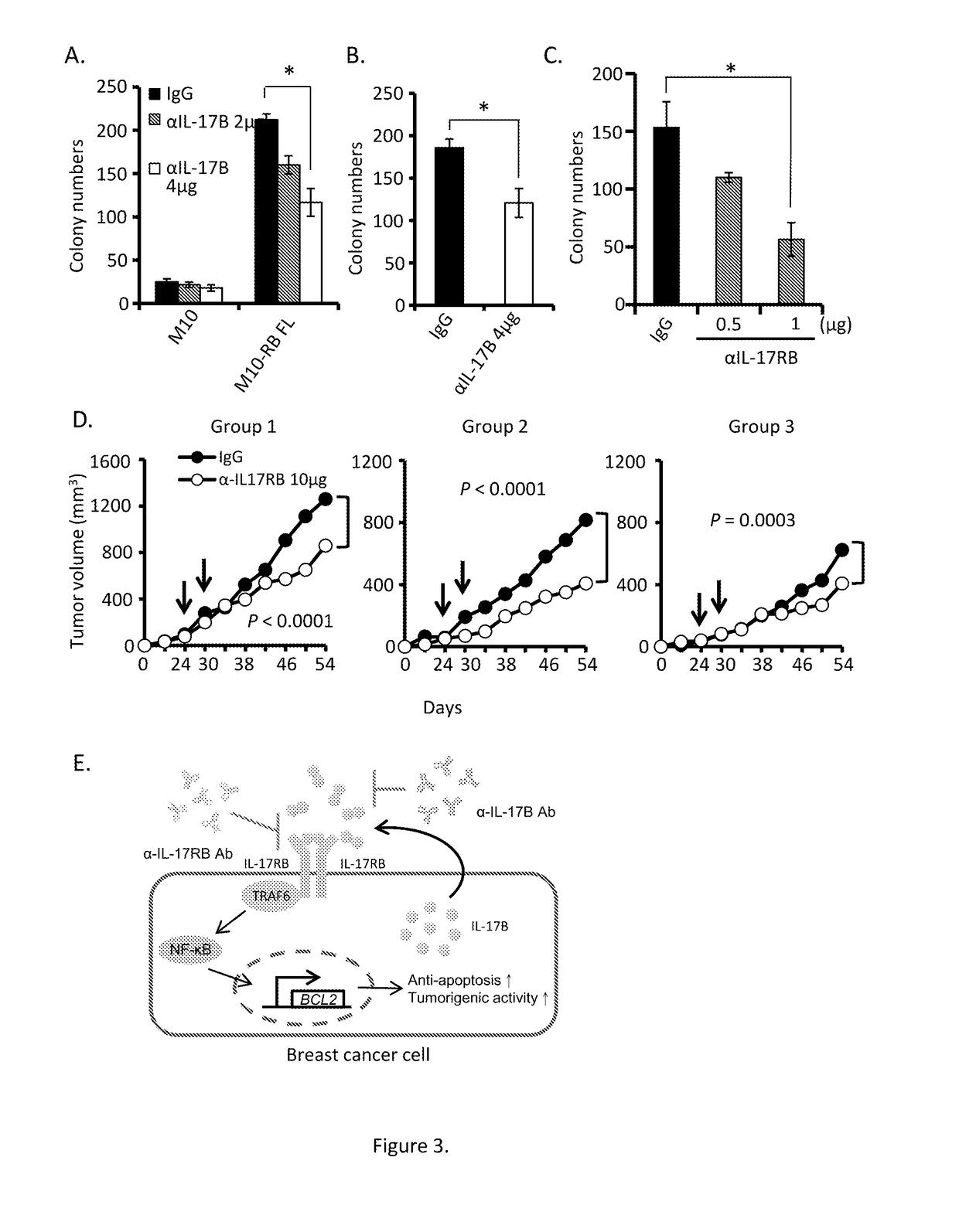 Antagonists for interleukin-17 receptor b (il-17rb) and its ligand il-17b for cancer therapy