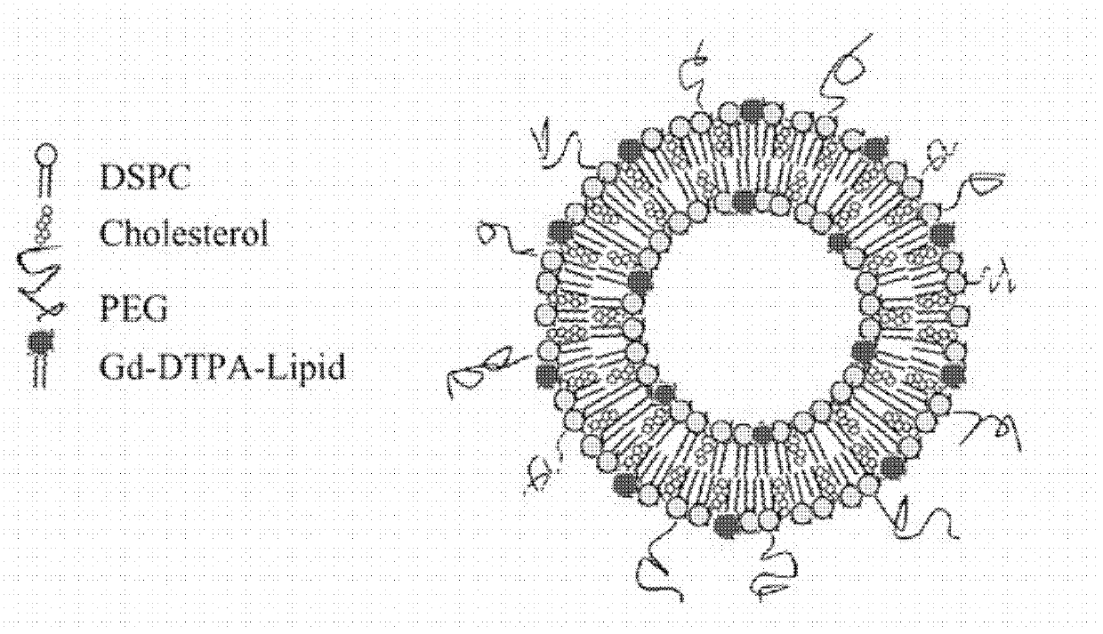 Glioma-targeting molecule magnetic resonance contrast agent as well as preparation method and application thereof