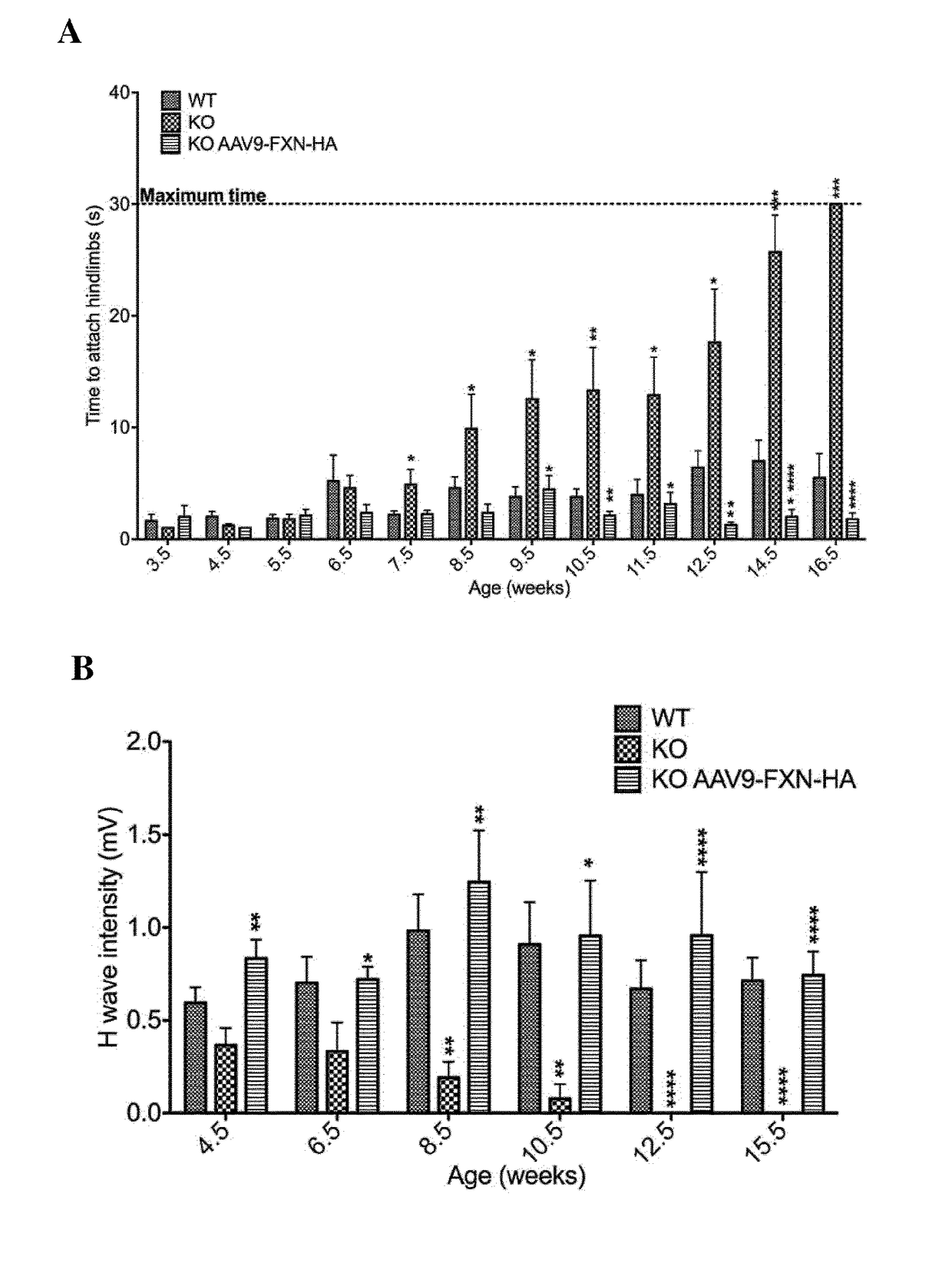 Methods and pharmaceutical composition for the treatment and the prevention of neurological phenotype associated with friedreich ataxia