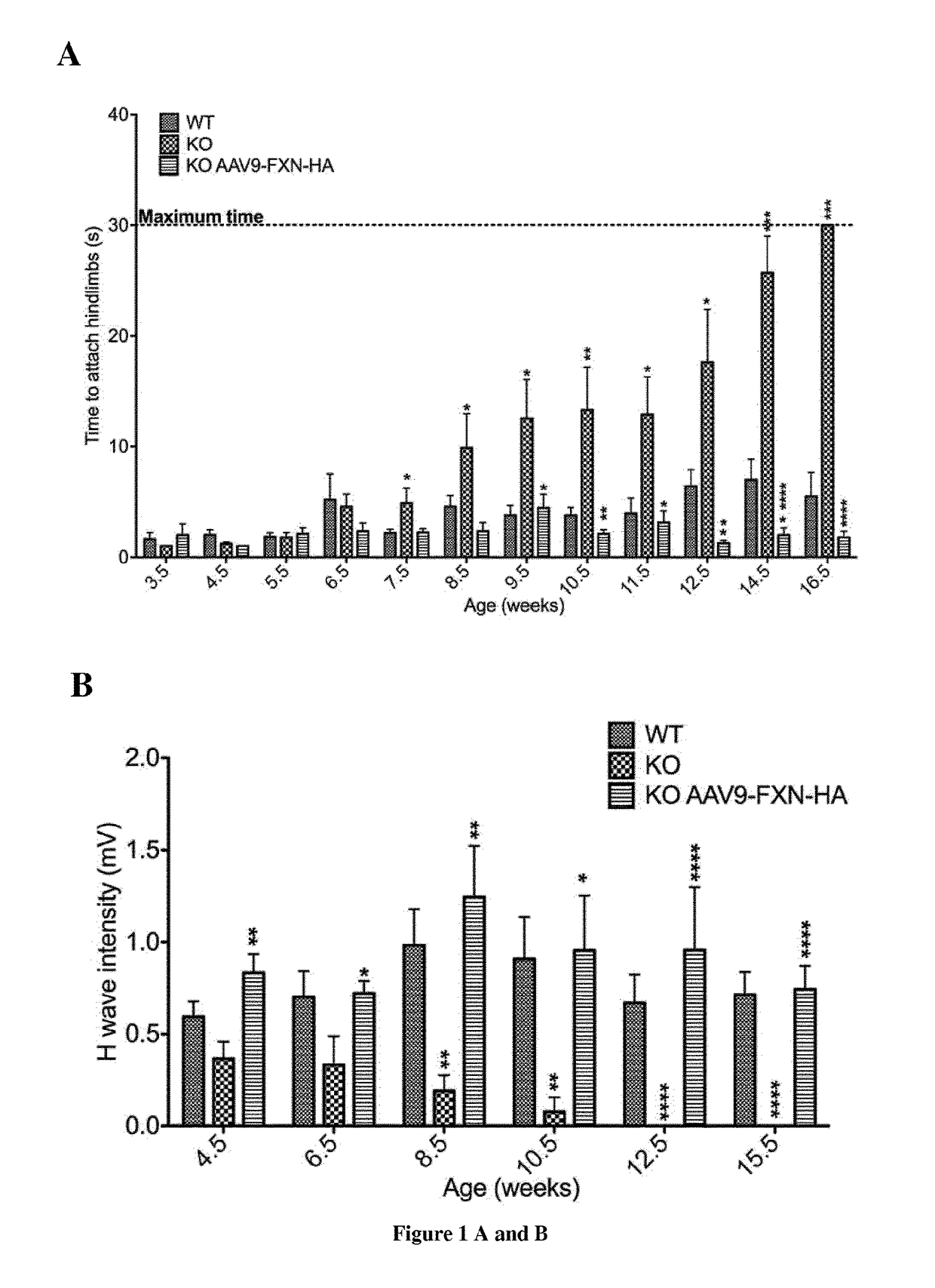 Methods and pharmaceutical composition for the treatment and the prevention of neurological phenotype associated with friedreich ataxia