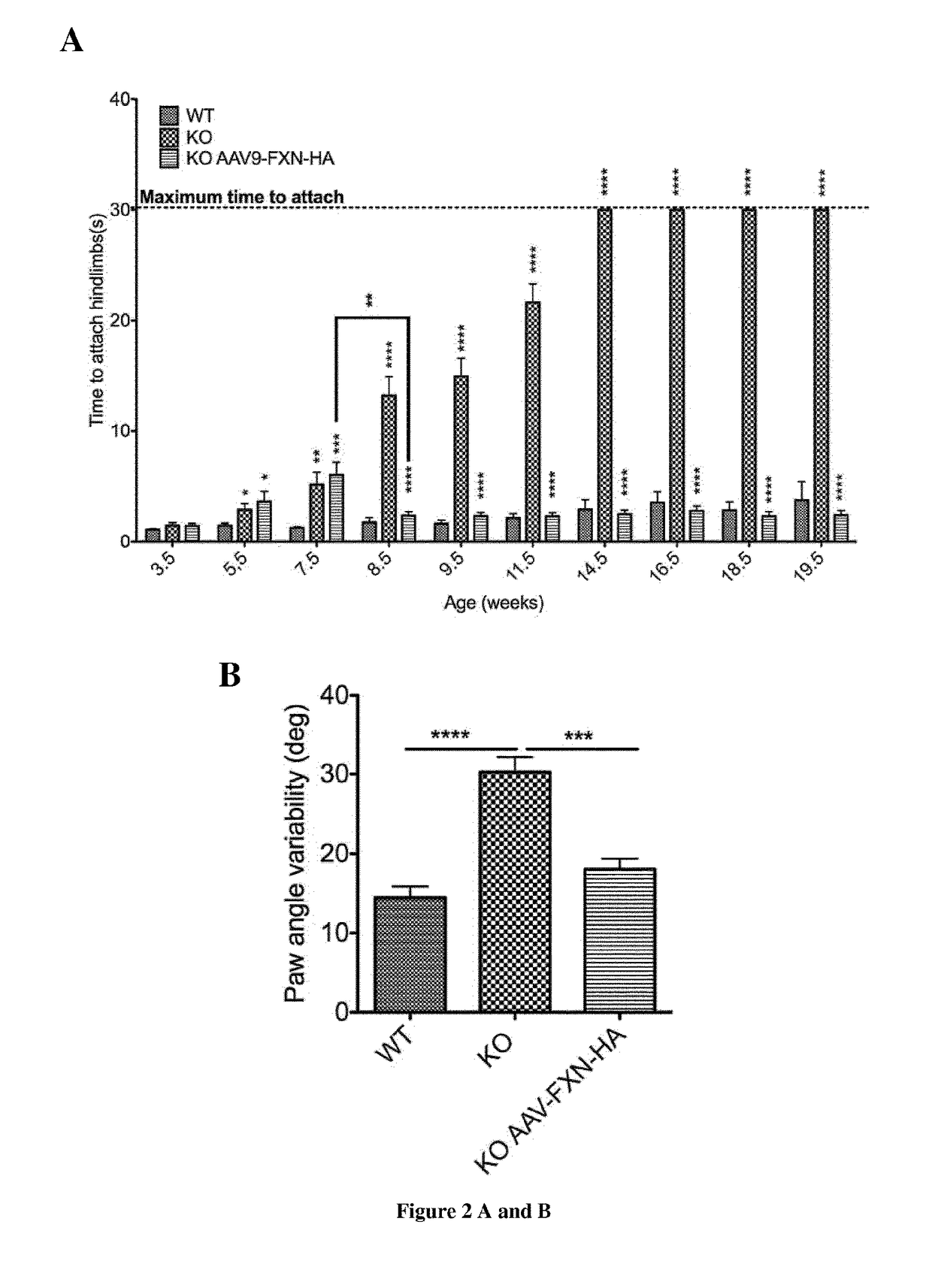 Methods and pharmaceutical composition for the treatment and the prevention of neurological phenotype associated with friedreich ataxia