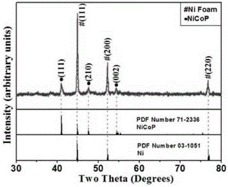 Preparation method for NiCoP nanowire electro-catalytic electrode