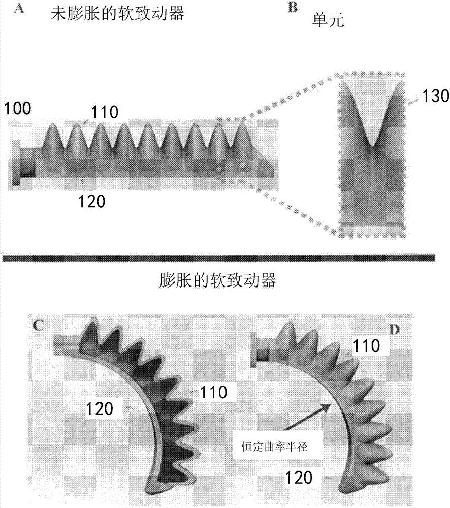 Soft robotic actuators utilizing asymmetric surfaces