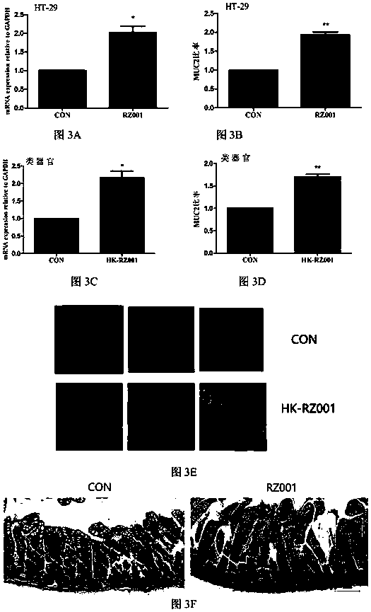 Bacillus subtilis having effects of relieving enteritis and promoting development of intestines and application