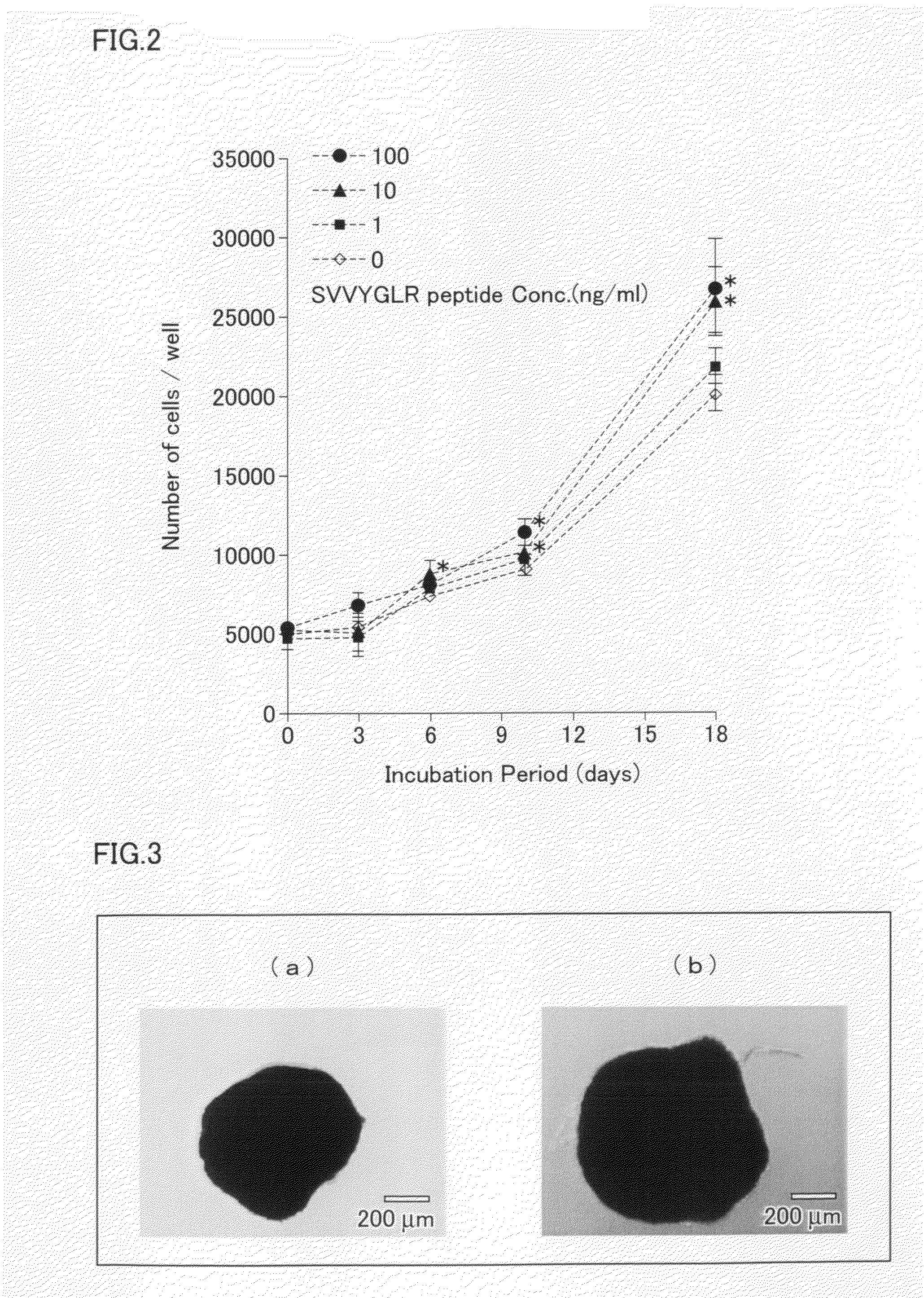 Mesenchymal cell proliferation promoter and skeletal system biomaterial