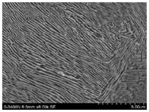 A Control Method for Improving the Plasticity of 95crmo Hollow Steel