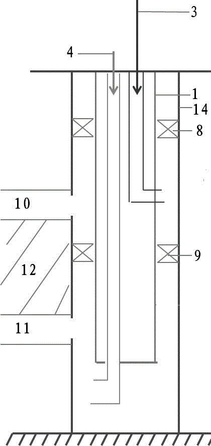 Bilayer separate injection process pipe column device for nonmetal continuous oil pipe