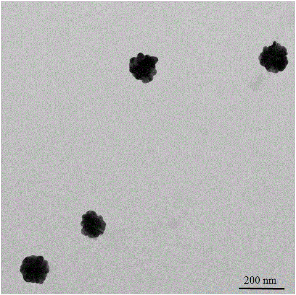 Method for preparing gold nano-flowers