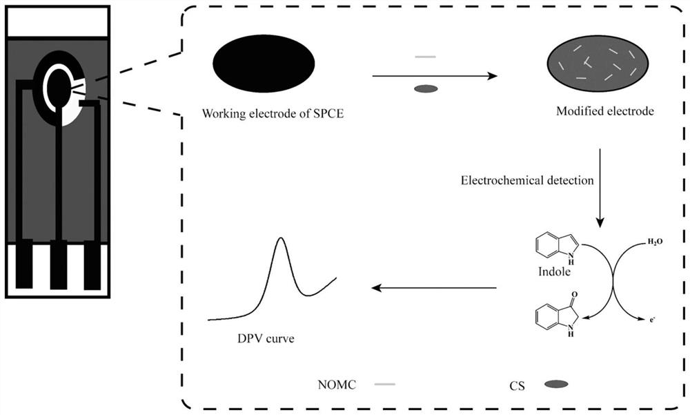 Indole electrochemical sensor constructed based on nitrogen-doped ordered mesoporous carbon modified electrode and application thereof