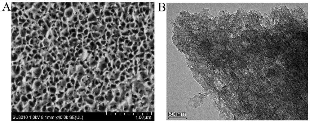 Indole electrochemical sensor constructed based on nitrogen-doped ordered mesoporous carbon modified electrode and application thereof