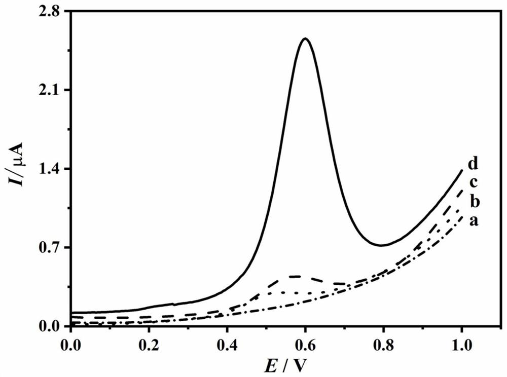 Indole electrochemical sensor constructed based on nitrogen-doped ordered mesoporous carbon modified electrode and application thereof