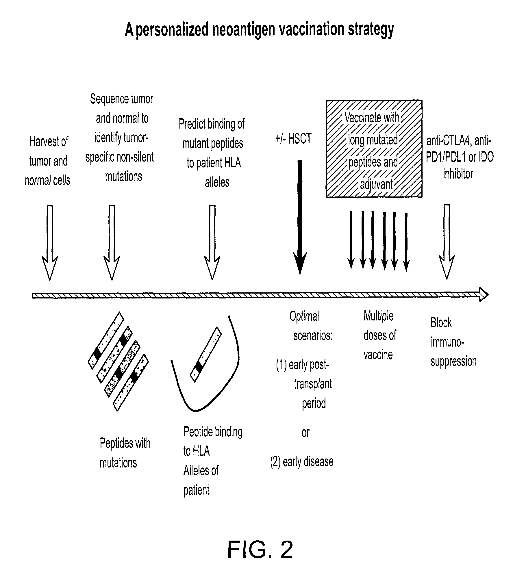 Compositions and methods of identifying tumor specific neoantigens
