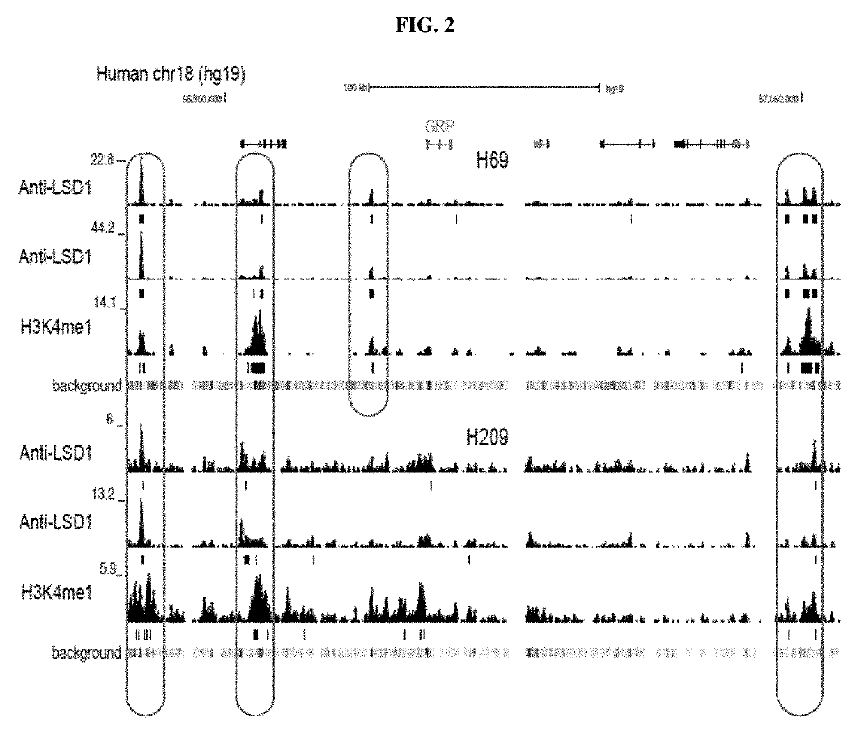 Treatment of relapsed and/or refractory solid tumors and non-hodgkin's lymphomas