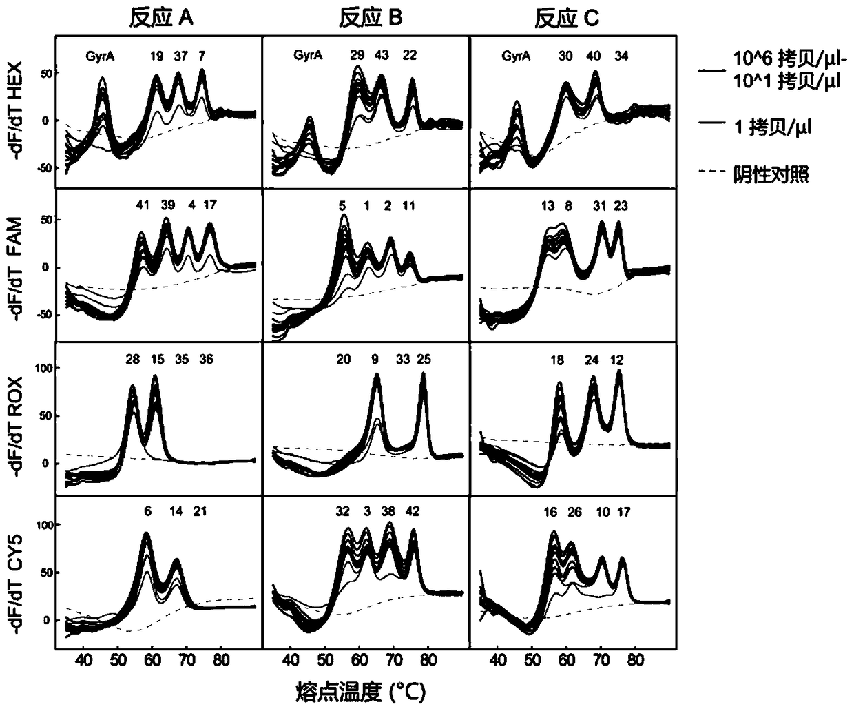 A method for genotyping Mycobacterium tuberculosis spacer oligonucleotides encoded by melting point