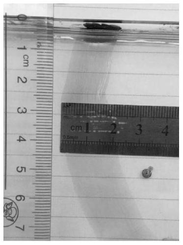 Conjugated polymer bulk heterojunction film with optical anisotropy and preparation method and application thereof