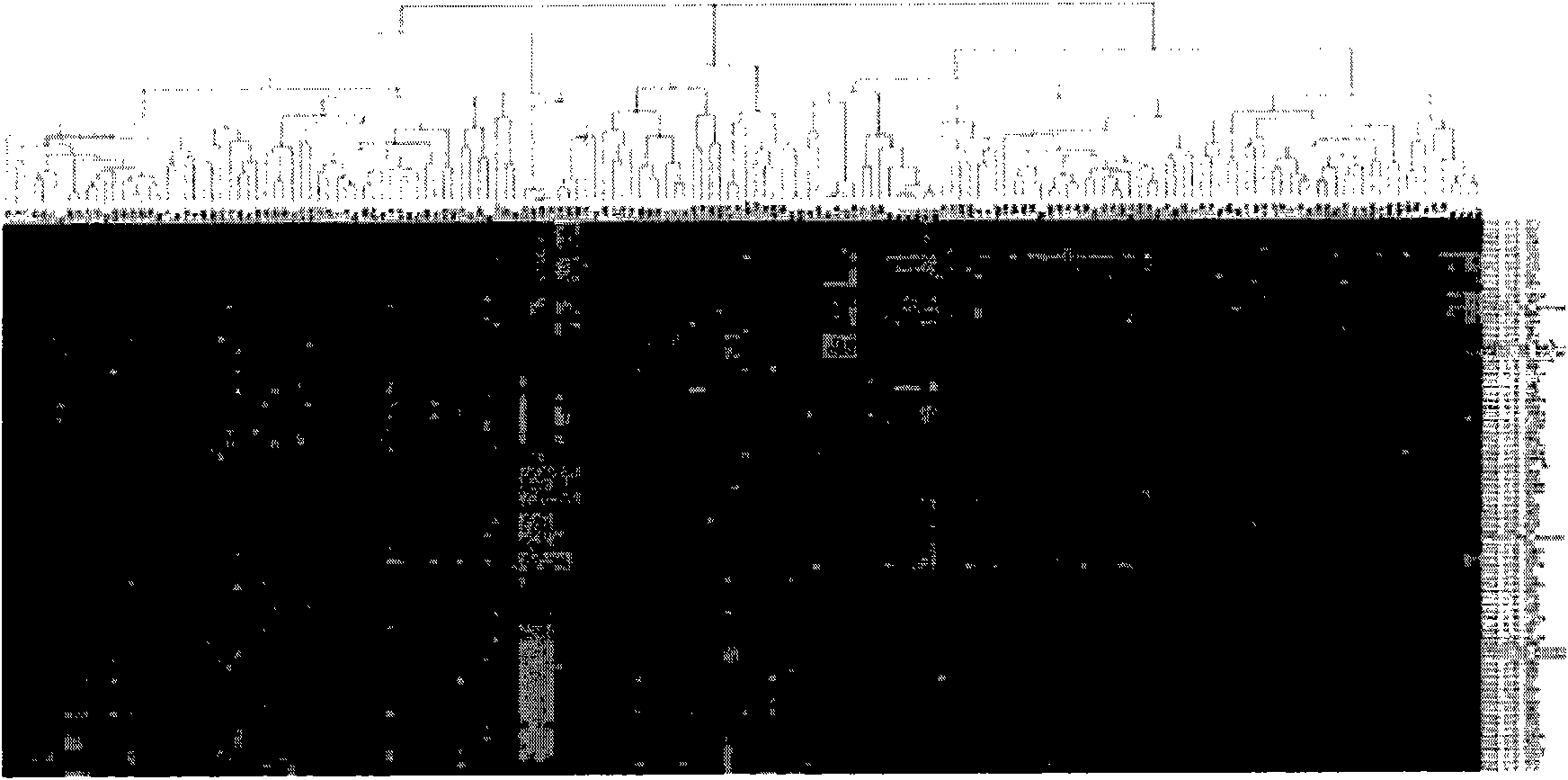 Gene chip and application thereof