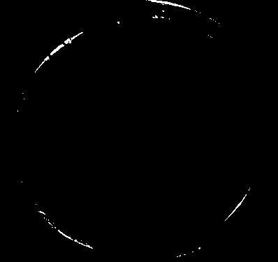 Lactobacillus johnsonii (Ljohn-1) and applications thereof