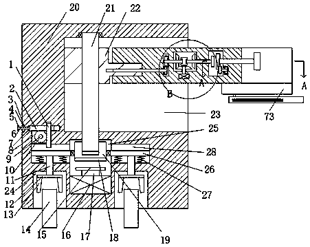 Trunk surface spraying device