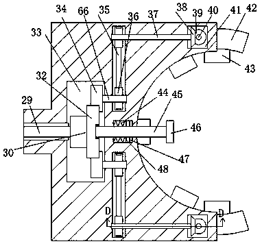 Trunk surface spraying device