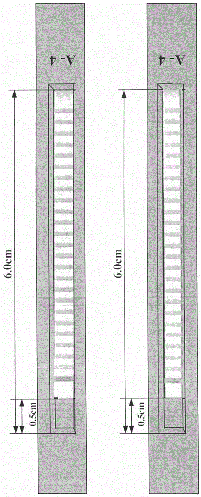 Method for preparing nucleotide probe-coated porous solid support strips