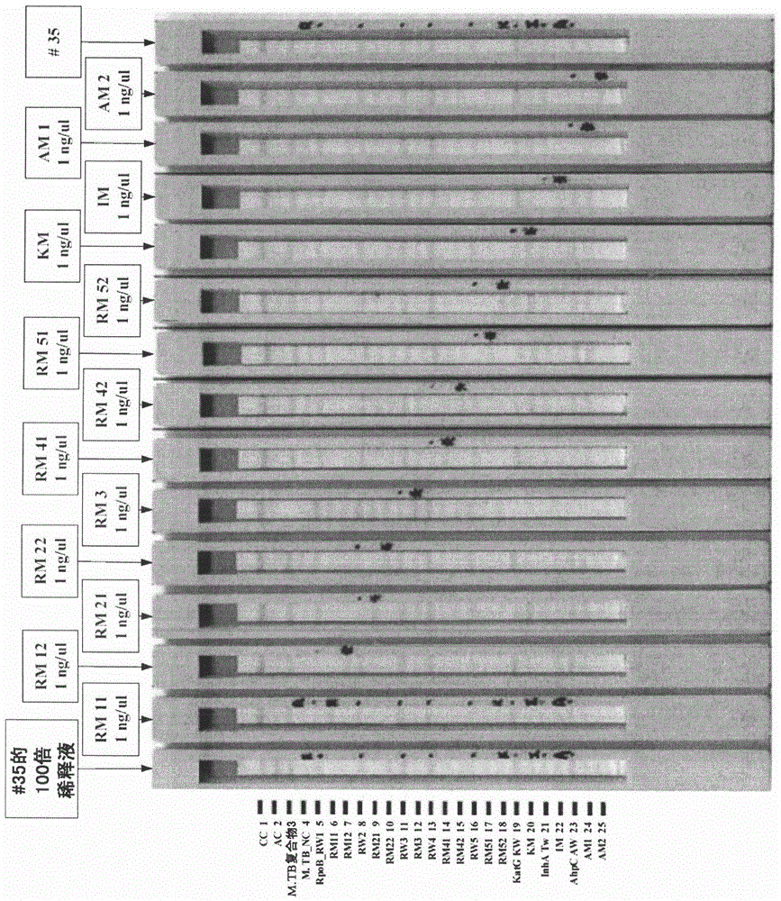 Method for preparing nucleotide probe-coated porous solid support strips