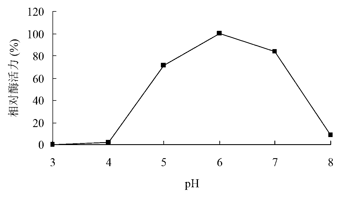 High specific activity xylosidase Xyl52B8 and gene and application thereof