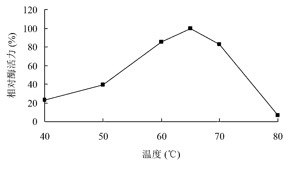 High specific activity xylosidase Xyl52B8 and gene and application thereof