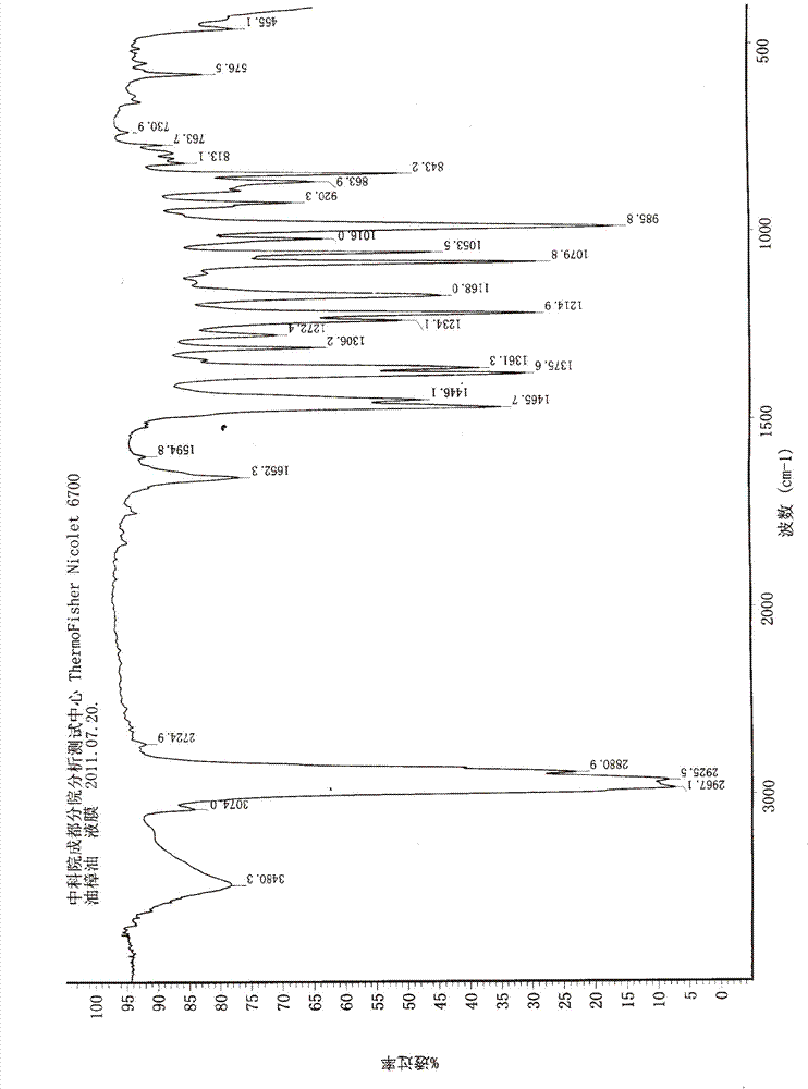 Cinnamomum longepaniculatum leaf volatile oil inclusion complex and preparation method thereof