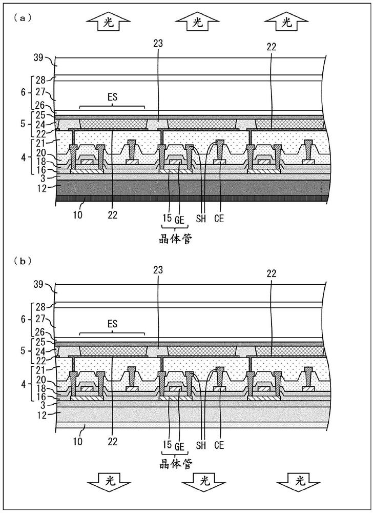 Light-emitting device, light wavelength conversion device, and display device