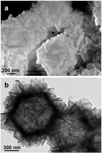 Hollow metal organic framework capsule material for coating homogeneous catalyst as well as preparation method and application thereof