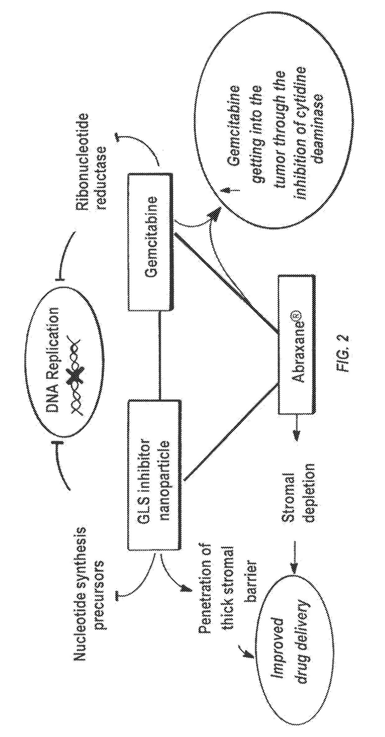 Glutaminase inhibitor discovery and nanoparticle-enhanced delivery for cancer therapy