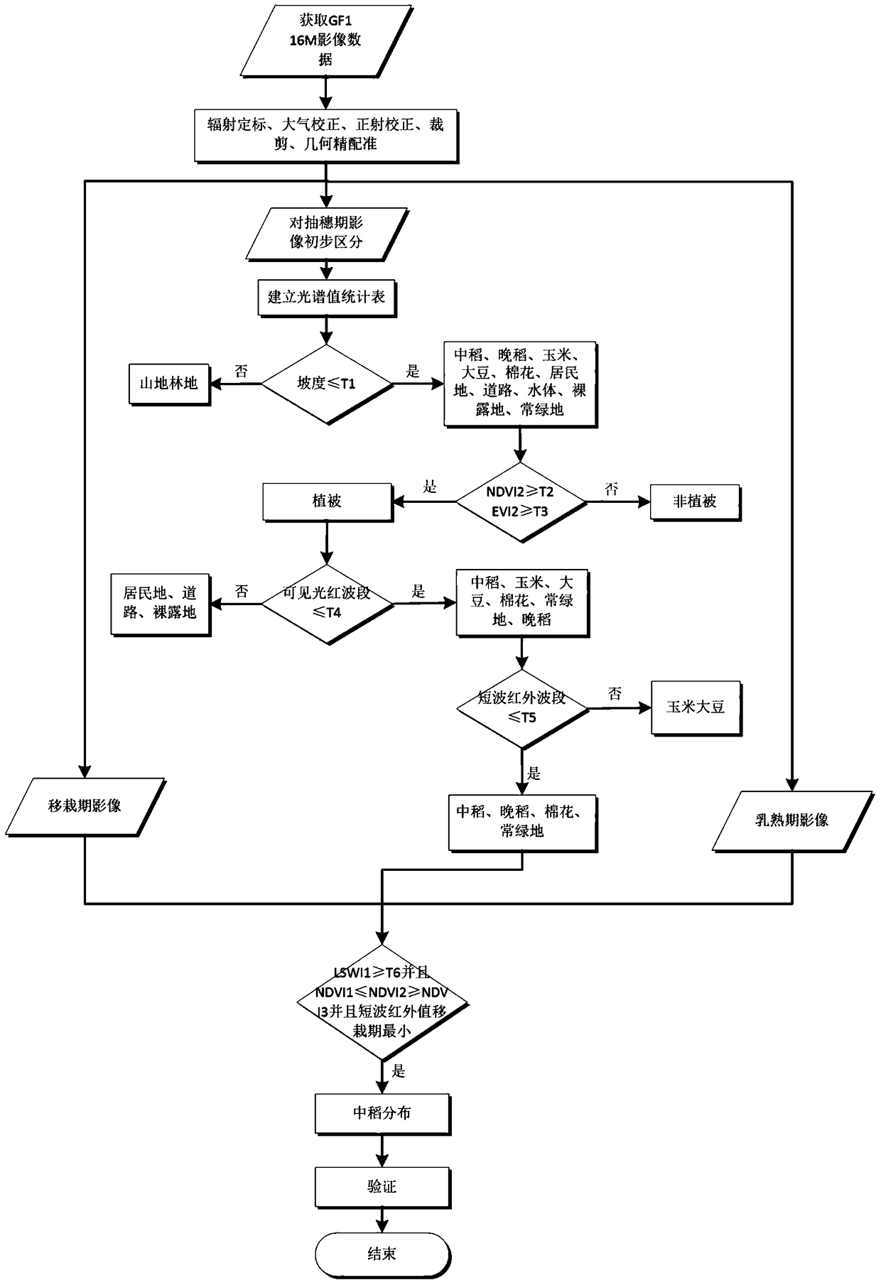 A decision tree classification method for middle rice information based on feature extraction from multi-temporal data