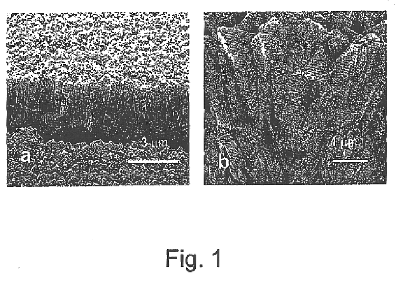 Monazite-based thermal barrier coatings