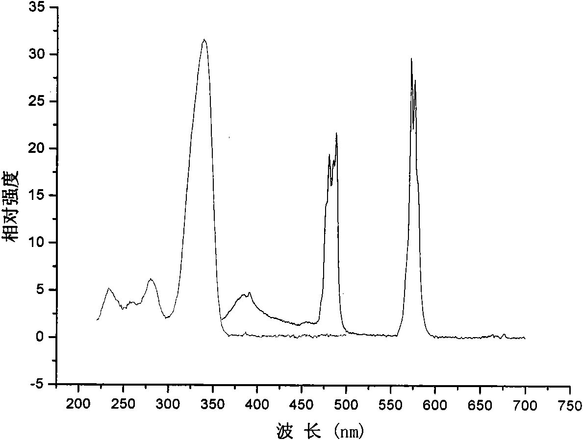 Fluorescent material and preparation method thereof