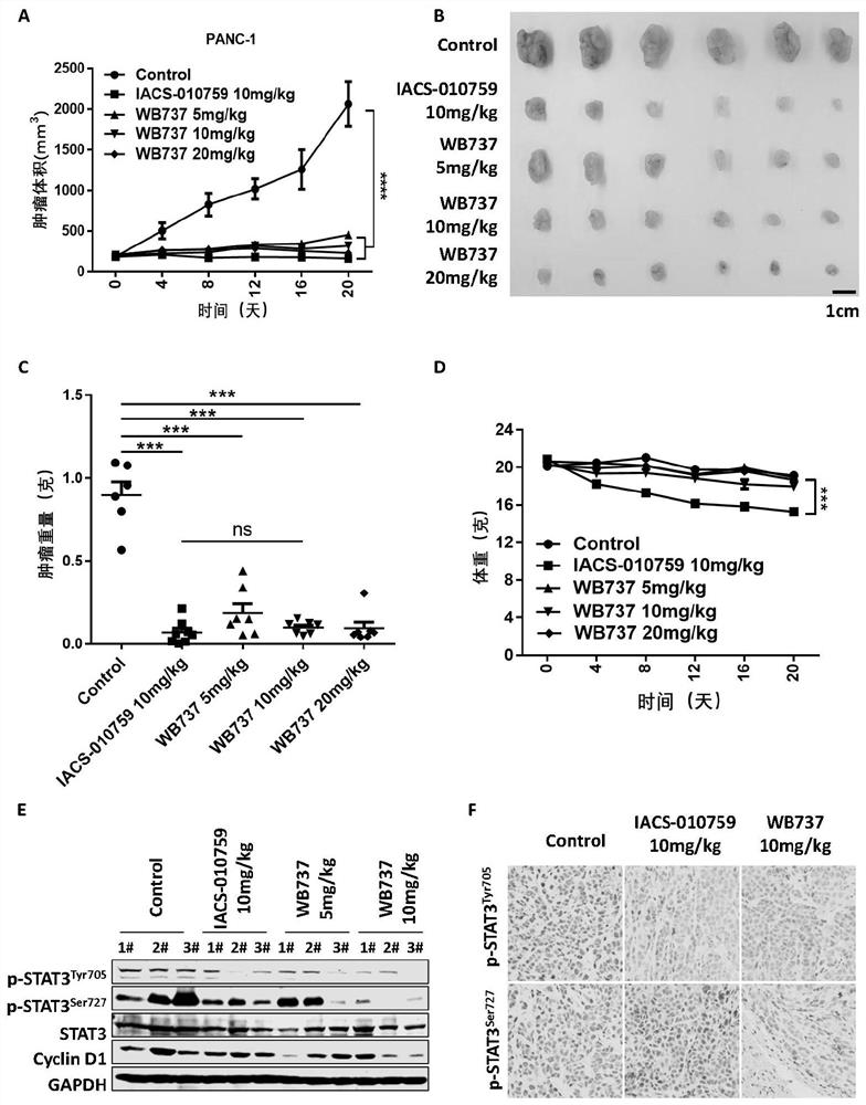 Triaromatic ring compounds targeting STAT3 bifunctional phosphorylation site and application thereof