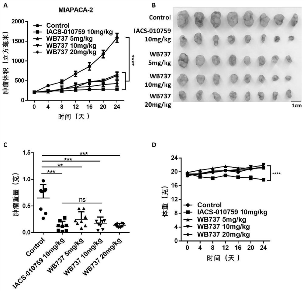 Triaromatic ring compounds targeting STAT3 bifunctional phosphorylation site and application thereof