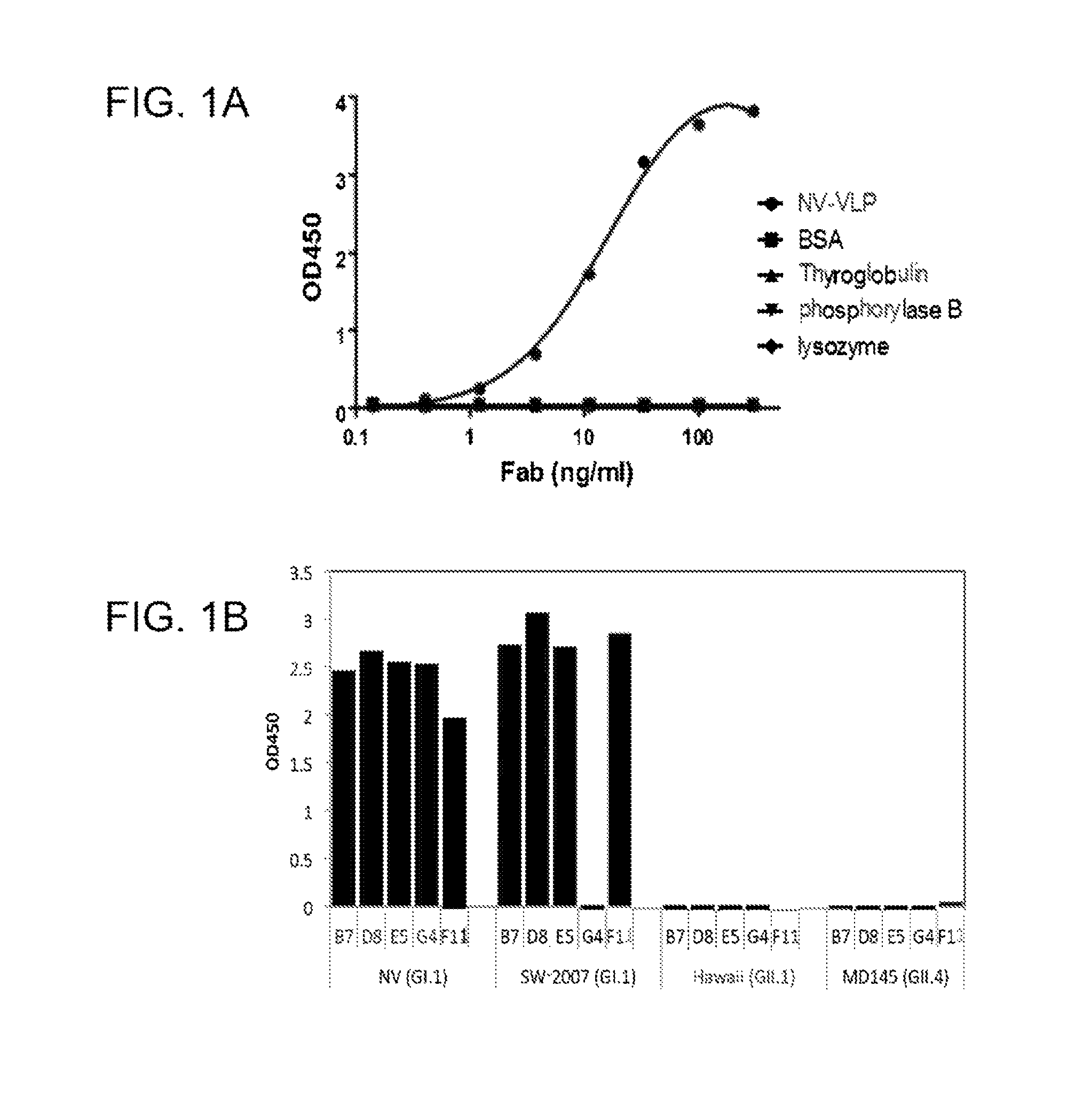 Monoclonal antibodies that neutralize a norovirus