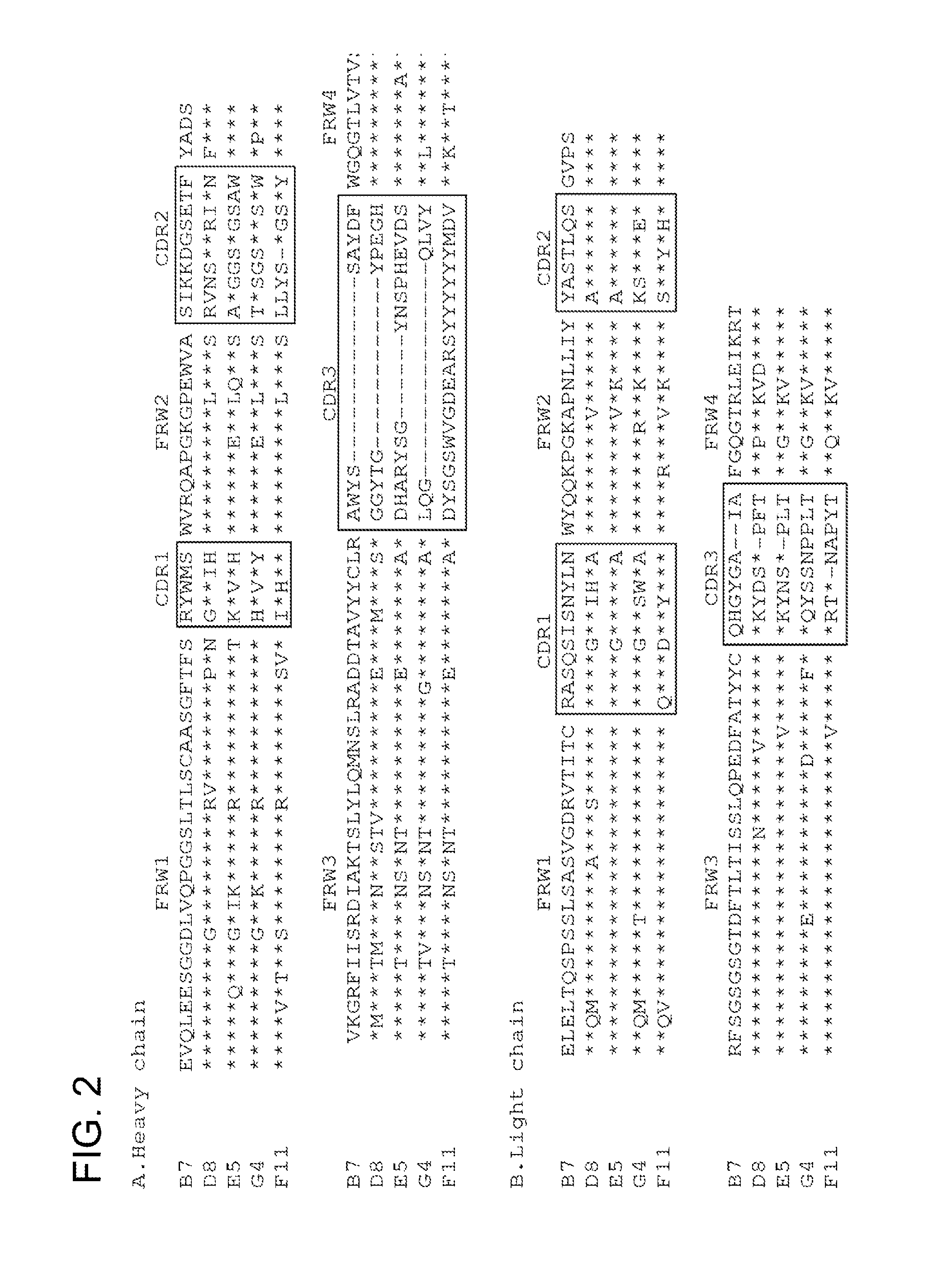 Monoclonal antibodies that neutralize a norovirus