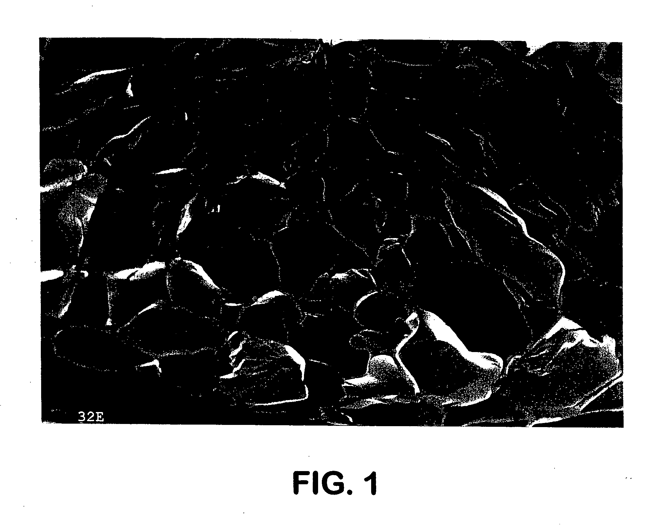 Low-density, open-cell, soft, flexible, thermoplastic, absorbent foam and method of making foam